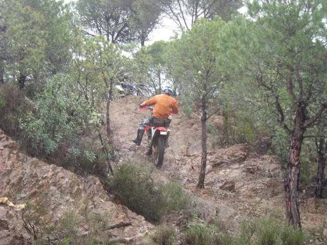 DSCF1236.jpg