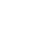 yBrush18