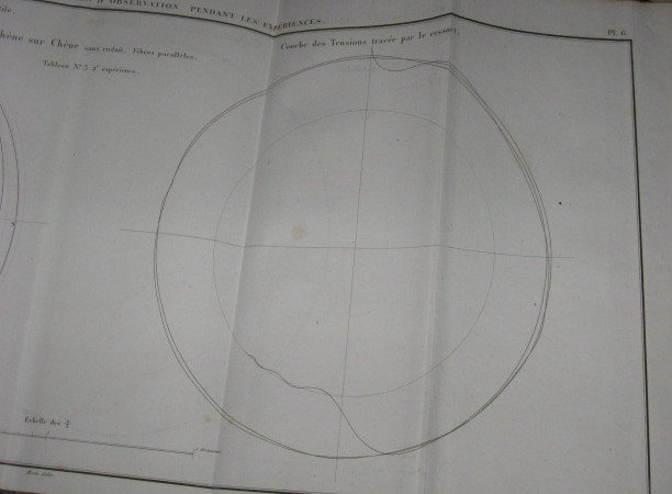 IMG 0354.jpg