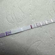 IMG-4219.jpg