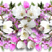 0-d367f-80276677-M