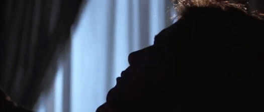 Ludwig-1973-2.gif