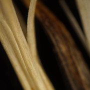 DSC01656
