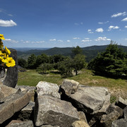 IMG 4762