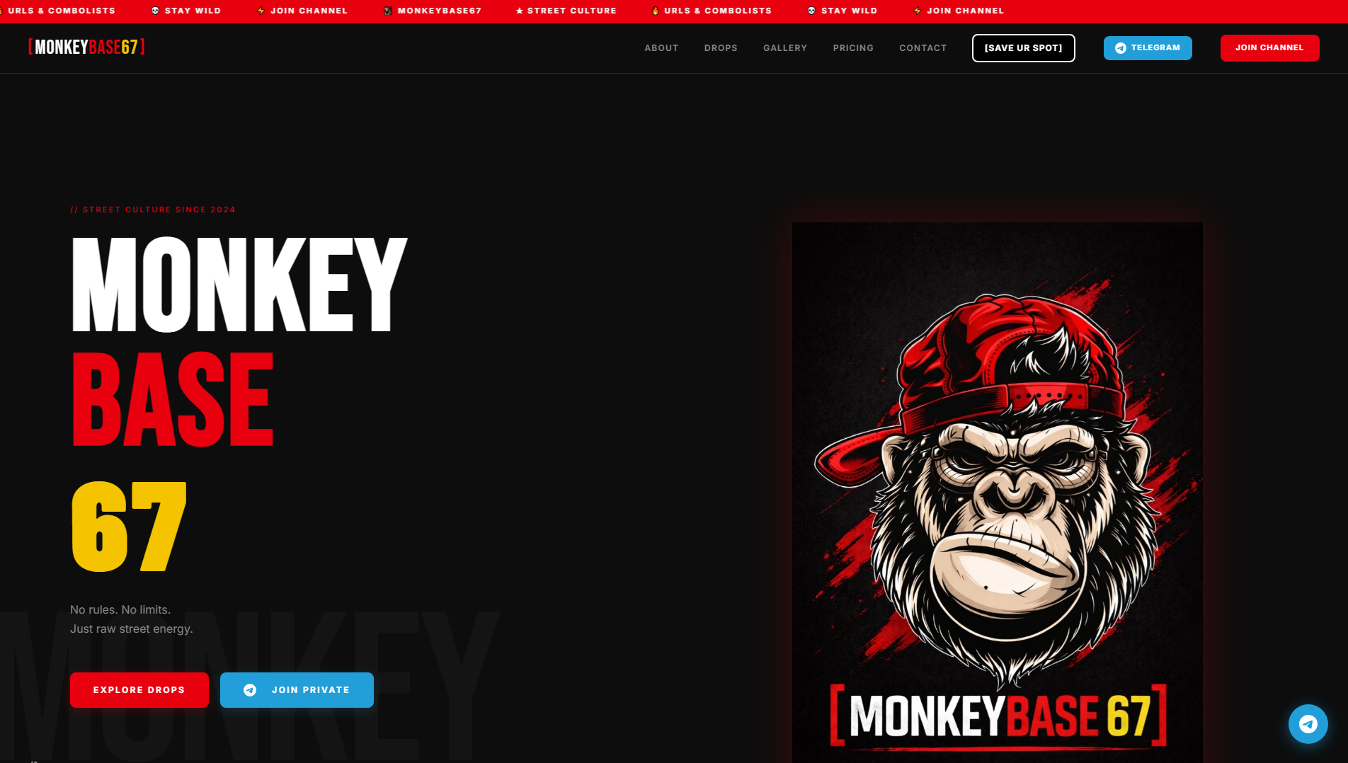 Forensic screenshot of monkeybase67.com showing the phishing page layout