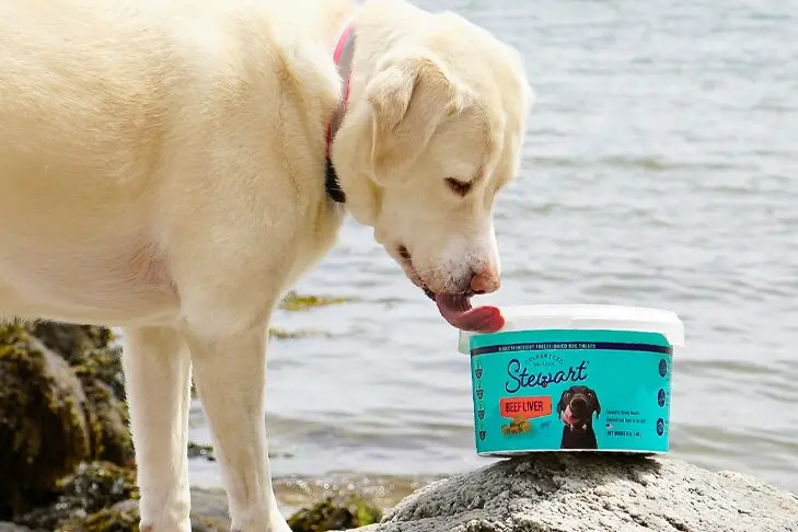 Freeze-Dried Treats: A Top Choice for Dog Training