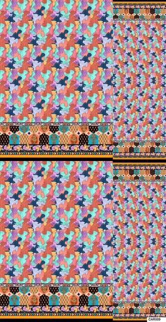 CAR009 PP A.jpg
