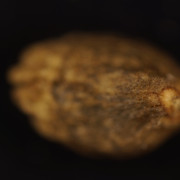 DSC01649