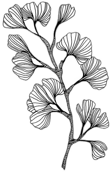 11a71172b78404c212a5afca9e7e6e19.png
