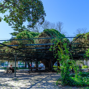 DSF5752
