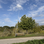 IMG-0805