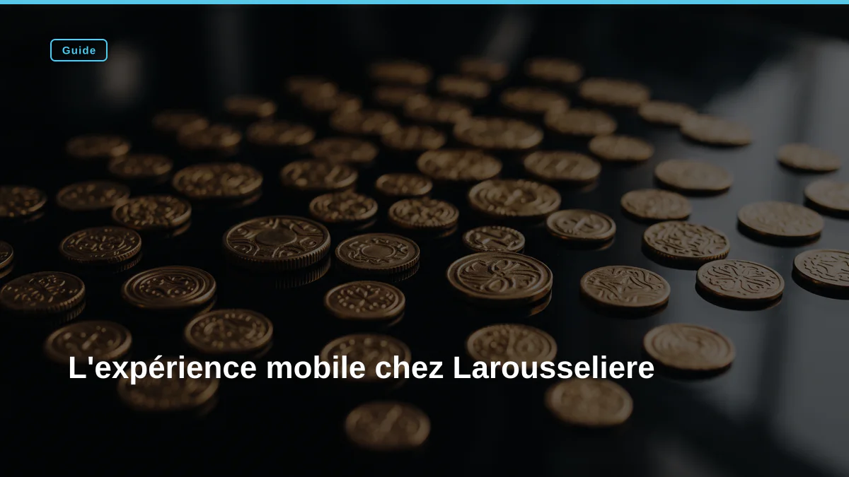 L'expérience mobile chez Larousseliere