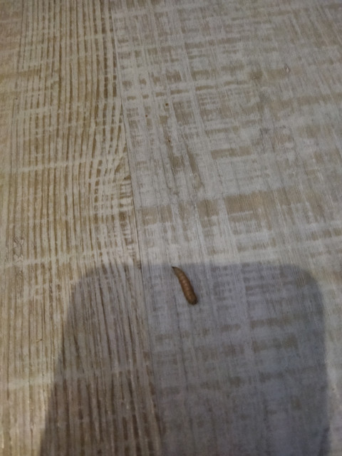 IMG-20230516-221340