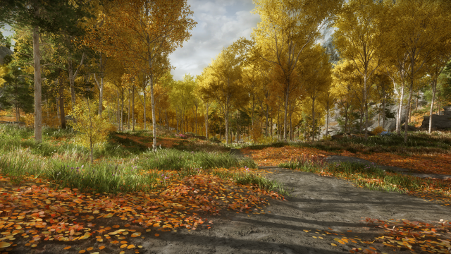 Riften Outskirts.png