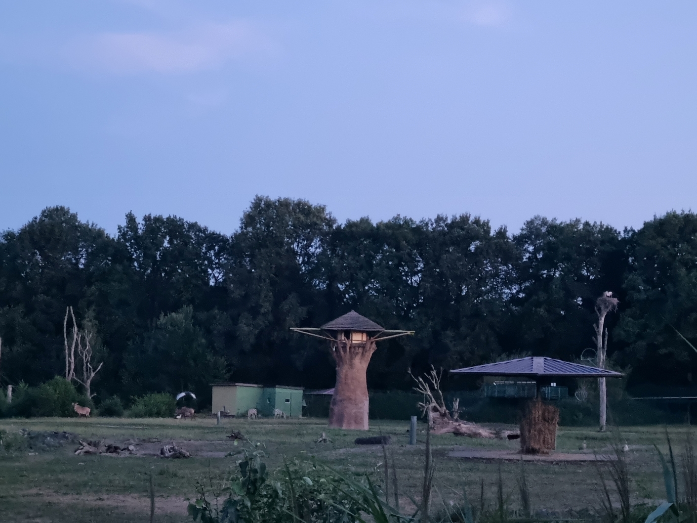 Serengeti-Park / Серенгети-Парк и кусочек Касселя