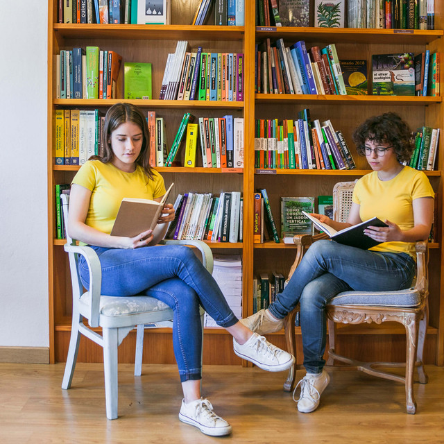 library image (4).jpg