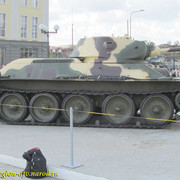 IMG-3626