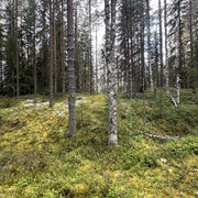 IMG 4787