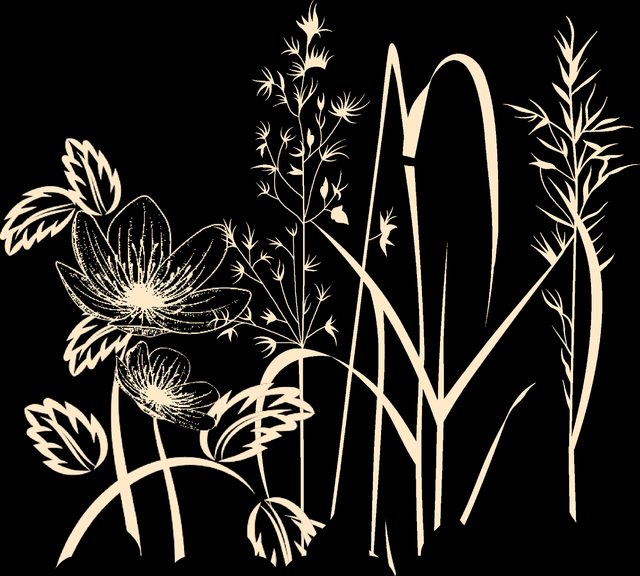 447c55b7a78085fcdfedb89db73878cf.png