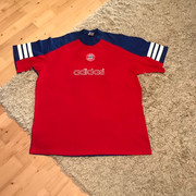bay6