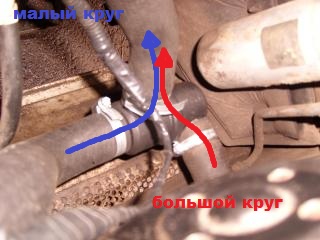 https://i.ibb.co/Zzgt8K33/Djkd-V.jpg