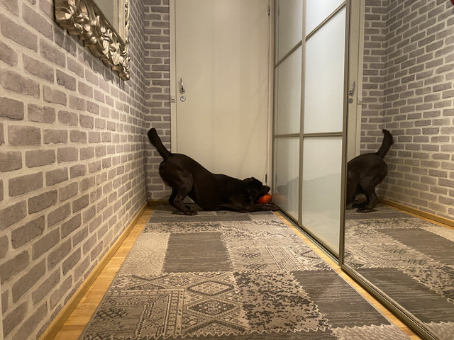 33-C88832-1-C38-4411-9-D32-D8-A7-CA492-D