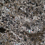 DSC06336