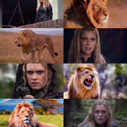 Clarke Lion
