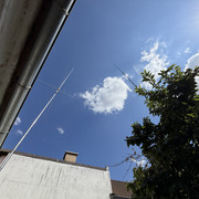 IMG 7408