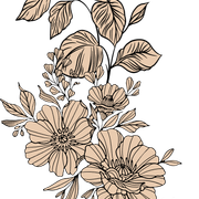 a9638e4ef56f63bc4168a18566fa27a5