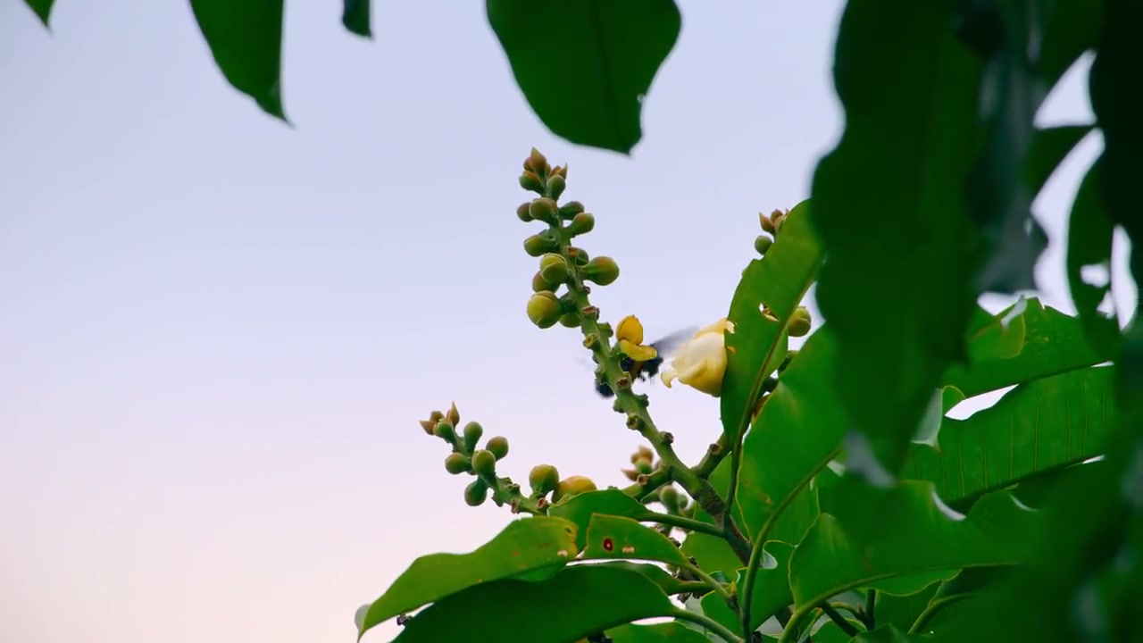 Our Living World Screenshot