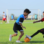 IMG 4313