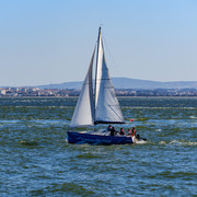 DSF5571