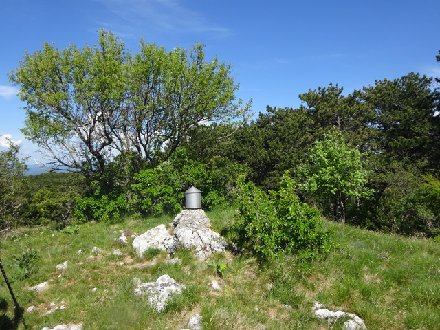 DSC04880
