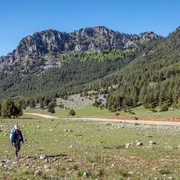 IMG 0767 (2)