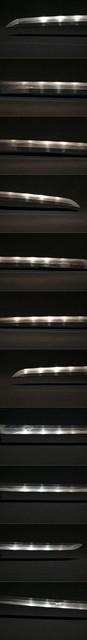 DSC3167.jpg