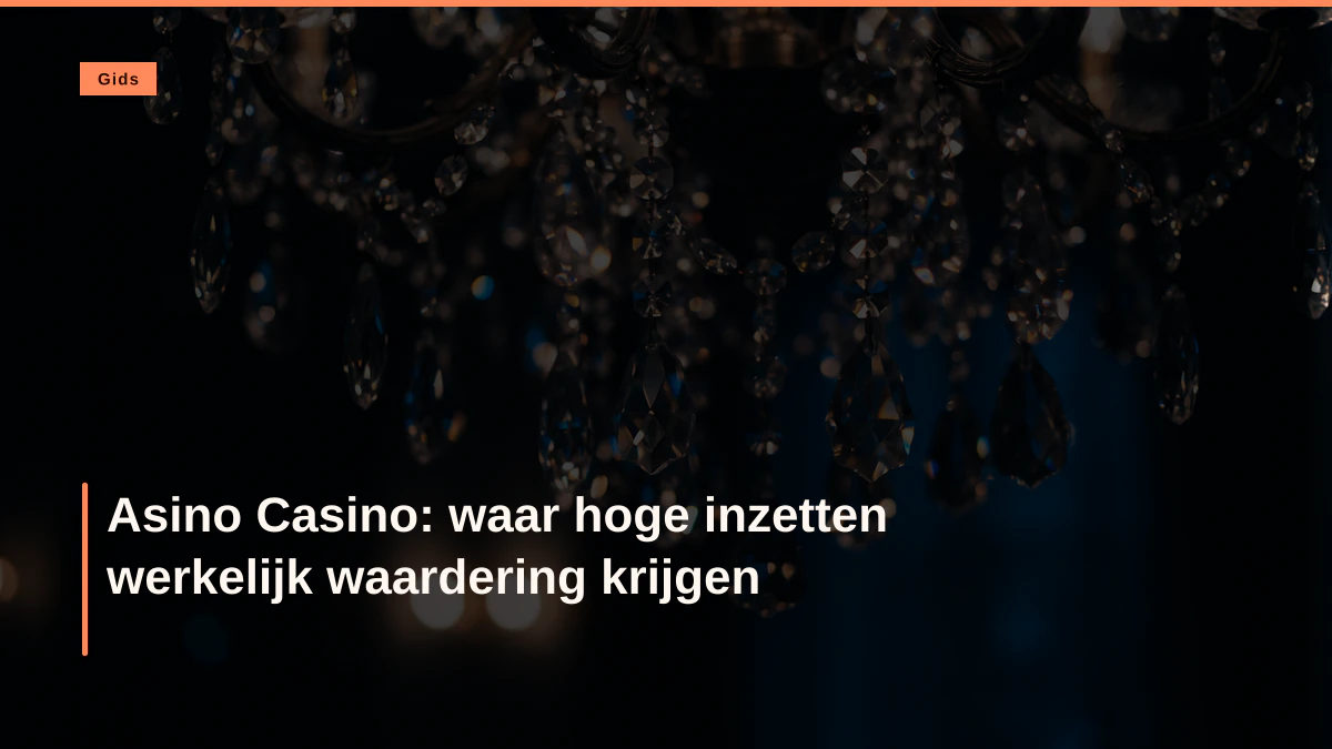 Asino Casino: waar hoge inzetten werkelijk waardering krijgen