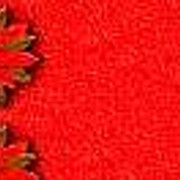 red10