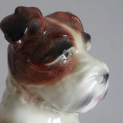 IMG-2835