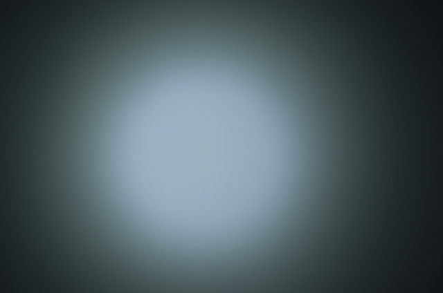 DSC5679