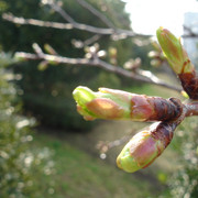 2010-03-16-085