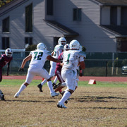 IMG-3528