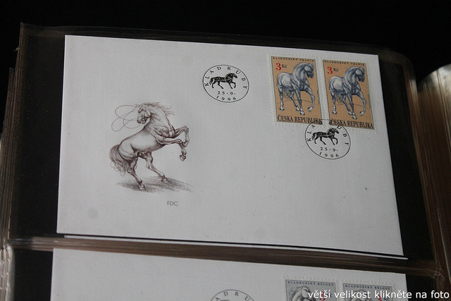 IMG-2541