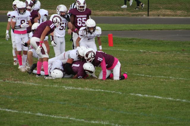 IMG-0184.jpg