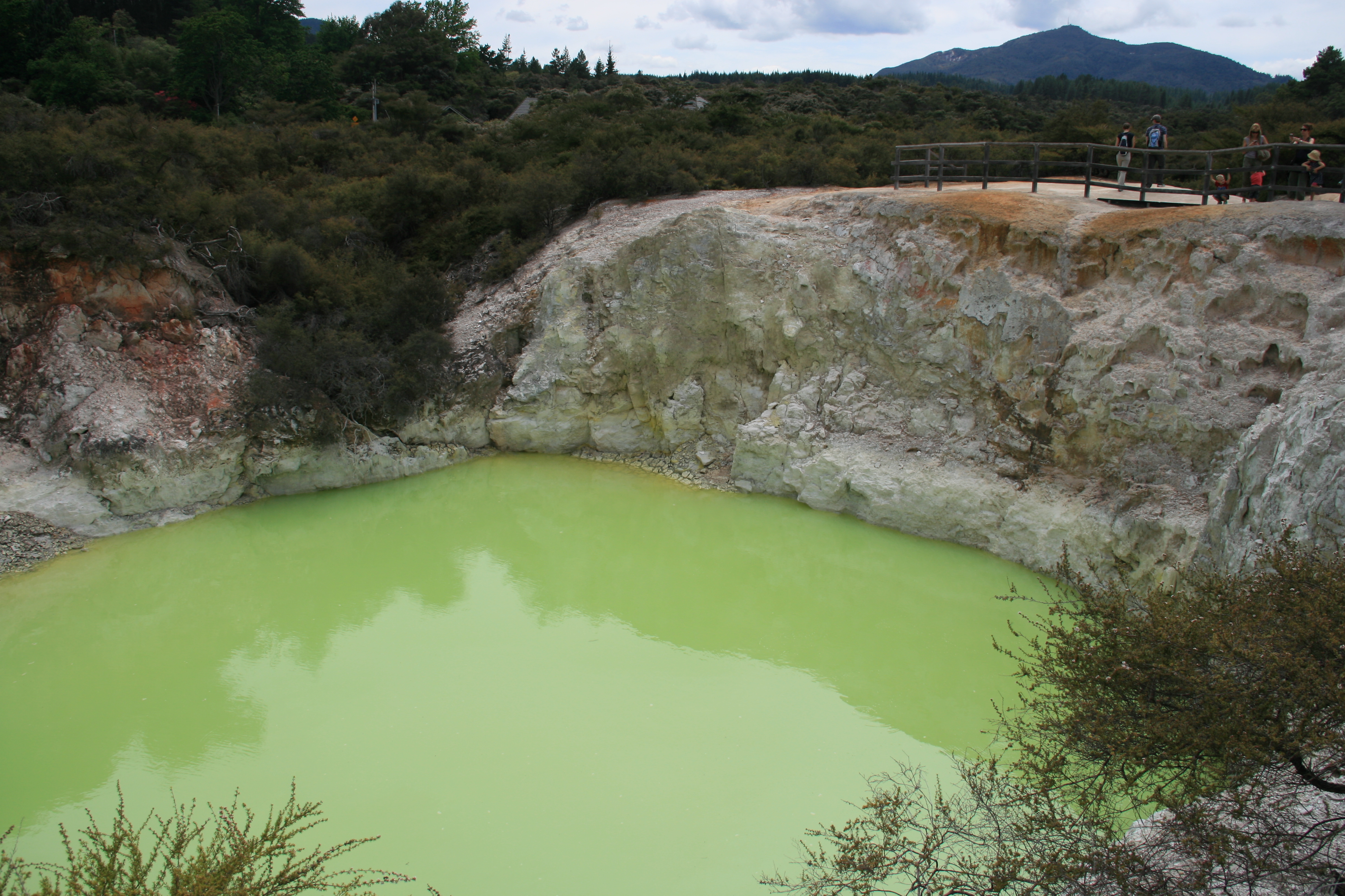 TE PUIA & TERMALS - 20 dias en Nueva Zelanda (4)