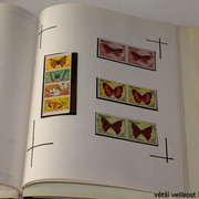 IMG-3984