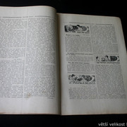 IMG-6151