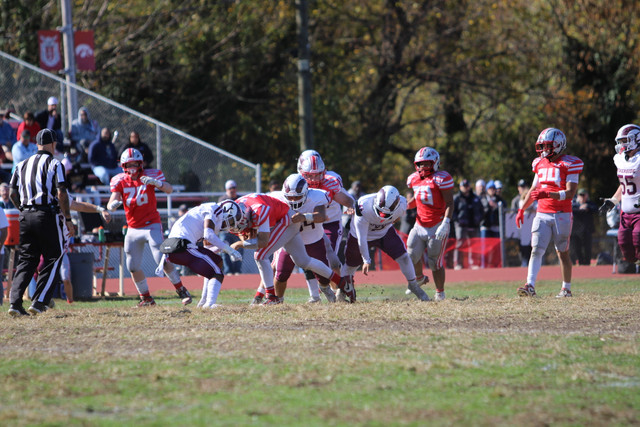IMG-1516