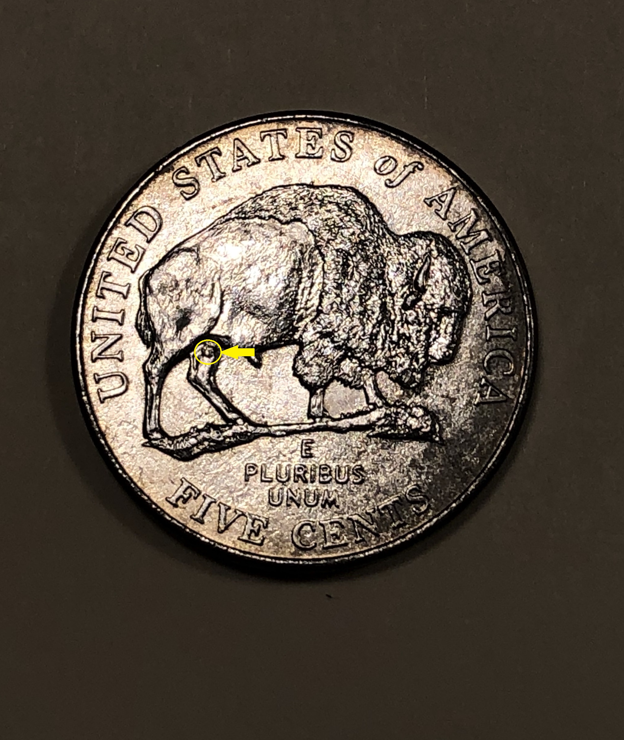 2005-P-Bison-Nickel---Wounded-Leg