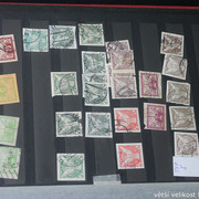 IMG-3564